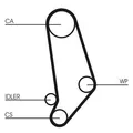 Continental Ctam Ct539Wp1 Wasserpumpe + Zahnriemen Satz für Audi 1980 - 1990