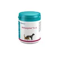 almapharm Almazyme h.a. Pulver | 500 g | Ergänzungsfuttermittel für Hunde und Katzen | Bei Nahrungsunverträglichkeiten | Vitalstoffe für optimalen Nahrungsaufschluss