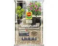 Granuplant Drainage- & Pflanzgranulat COMPO BIO 5 L 100% natürlicher Bimsstein,