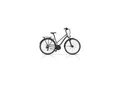Trekkingbike ARENA LADY 28 Zoll