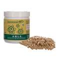 Amla (500 Kapseln)