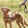 TRIXIE Trainingsgeschirr Lead'n'Walk Soft - schwarz - 45–70 cm/25 mm