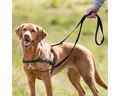 TRIXIE Hunde-Erziehungsgeschirr Trainingsgeschirr Lead'n'Walk Soft - schwarz - 45–70 cm/25 mm