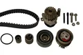 INA | Wasserpumpe + Zahnriemensatz mit (530 0503 30) für VW TIGUAN 5N PASSAT