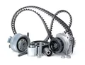 INA 530 0503 30 Wasserpumpe + Zahnriemensatz für VW GOLF VI (5K1) TIGUAN (5N)