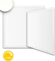 ISOLED LED Panel Business Line 600 UGR