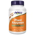 Pflanzliche Enzyme 120 Veg-Kapseln Now Foods