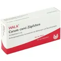 Carum Carvi Zäpfchen