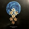 LP-BOX Swallow The Sun , Trio N O X Moonflowers 180G, BLUE VINYL, 3LPS & 2 CDS