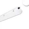 ISOLED LED Wannenleuchte ATEX II 150cm, 54W, IP66, kaltweiß