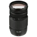 Panasonic Lumix 4,0-5,6/100-300 Power OIS H-FSA100300E