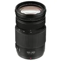 Panasonic Lumix 4,0-5,6/100-300 Power OIS Objektiv