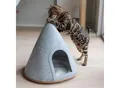Canadian Cat Company Katzenzelt Cone