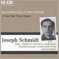 Joseph Schmidt - Ein Stern fällt vom Himmel: Oper, Operette, Filmhits, Canzonen, Tenorschlager, Radio Raritäten, Live Konzerte