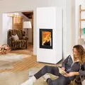 Haas+Sohn Dachstein Kaminbausatz 7 kW Kamineinsatz Esprit IV Kaminofen Bausatz