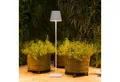 Zafferano LED Tischleuchte Zafferano Akku Tischleuchte Poldina Pro 380 mm Dark Green