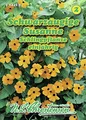 Schwarzäugige Susanne Thunbergia alata Schlingpflanze Saatgut