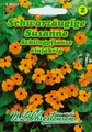 Schwarzäugige Susanne "orange mit Auge "Samen,Kletterpflanze 584450