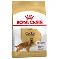 ROYAL CANIN Cocker Spaniel Adult 12kg