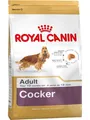Royal Canin Adult Cocker - dry dog food - 12 kg