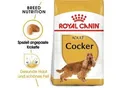 ROYAL CANIN Cocker Adult 12 kg