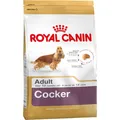Royal Canin SHN Breed Cocker Trockenfutter für Hunde, 12 kg