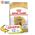 Royal Canin Adult Cocker - 12 KG - Unterstützung Trocken für Hunde, Hunde