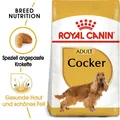 12 kg ROYAL CANIN Cocker Spaniel Adult