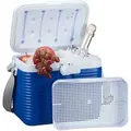 Kleine Kühlbox, Mit Griff, Tragegurt, Kunststoff Kühltasche, Ohne Strom, 8 L, Hbt 23,5 X 31 X 21 Cm, Weiß-blau - Relaxdays