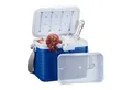 relaxdays Kühltasche Kühlbox klein 8 Liter