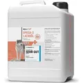 REAVET Lachsöl Hunde, Pferde 5-Liter-Kanister - Reich an Omega 3 & 6, Fischöl Hund 5L I Echte Lebensmittelqualität ohne Zusätze I Frisch abgef...