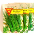 FRANKONIA Schnittlauch, Medium Leaf - Kräuter-Samen Gewürz Saatgut Schnittlauch-Samen (Allium schoenoprasum)
