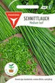 Schnittlauch, Medium Leaf - Kräuter-Samen Gewürz Saatgut Schnittlauch-Samen
