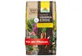 Neudorff Bio-Erde NeudoHum UniversalErde, mit Organischer Dünger, (Torffreie Bio Erde, für Zimmer-, Balkon-, Terrassen- und Gartenpflanzen), für 4 Wochen vorgedüngt