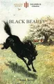 Anna Sewell Black Beauty (Taschenbuch)