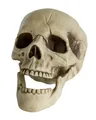 Horror-Shop Totenkopf mit beweglichem Kiefer 20cm als Deko