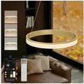 doporro Pendelleuchte Pendellampe Esszimmerlampe Dimmbar mit App & Fernbedienung Luvina02, einstellbarer Farbtemperatur von 3000–6000K, LED-Pendellampe 60 cm x 60 cm