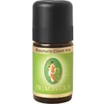 Primavera Life GmbH Duftöl Rosmarin Cineol bio, 5 ml