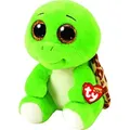 Turbo Turtle