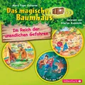 Im Reich der unendlichen Gefahren (Das magische Baumhaus ), Mary Pope Osbor ...