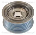 TRISCAN Umlenkrolle 8641 102047