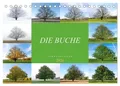 Tatjana Balzer | Die Buche: Jahresplaner 2026 (Tischkalender 2026 DIN A5...