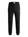 JACK & JONES Male Jogginghose Regular Fit Jogginghose