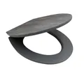 RIDDER Toilettendeckel Cement mit Soft-Close zementgrau