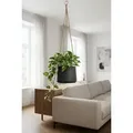 finestgreen Blumenampel Hanging Patt, Frostfest & UV-beständig – für Innen- und Außenbereich schwarz Ø 20.0 cm x 16.5 cm