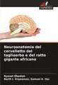 Neuroanatomia del cervelletto del tagliaerba e del ratto gigante africano Byanet