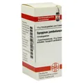 Syzygium Jambolanum D 6 Globuli 10 g
