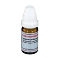 DHU Syzygium Jambolanum D6
