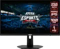 MSI Monitor G244F E2 (G244F E2)