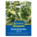Gemüsesamen, Einlegegurke 'Corentine', grün